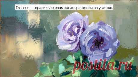 Главное — правильно разместить растения на участке. 

Для украшения входа или фасада дома используют солитеры — одно или несколько декоративных деревьев, кустарников, четко выделяющихся на общем фоне. Они придают дому особую парадность. 

В качестве солитеров могут быть серебристые ели, катальпы, плакучие ивы, пурпурнолистная алыча. 

Прекрасным украшением послужат старые деревья (дубы, ясени, клены, липы), если они сохранились возле дома. 

При выборе пород для солитеров ...