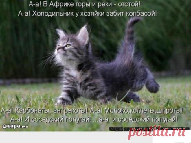 А-а в Африке реки вот такой ширины
А-а в Африке горы вот такой вышины
А-а крокодилы, бегемоты
А-а обезьяны, кашалоты
А-а и зеленый попугай
А-а и зеленый попугай
Ах, здравствуйте, реки, вот такой ширины, А здравствуйте, горы, вот такой вышины, Ах, крокодилы, бегемоты, Ах, обезьяны, кашалоты, Ах, и зеленый попугай! Ммм, и зеленый попугай!
Александр Пушной