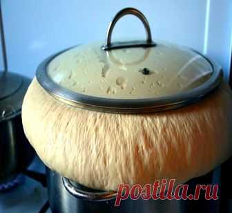 Дрожжевое Тесто 
