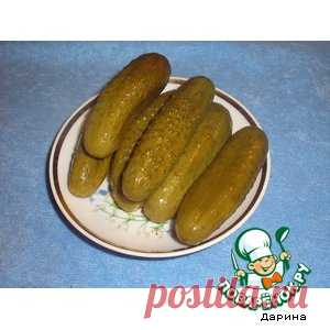 Засолка огурцов холодным способом - кулинарный рецепт