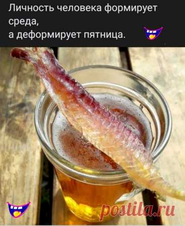 Выпуск №6450 - выпуск анекдотов сайта вокруг смеха