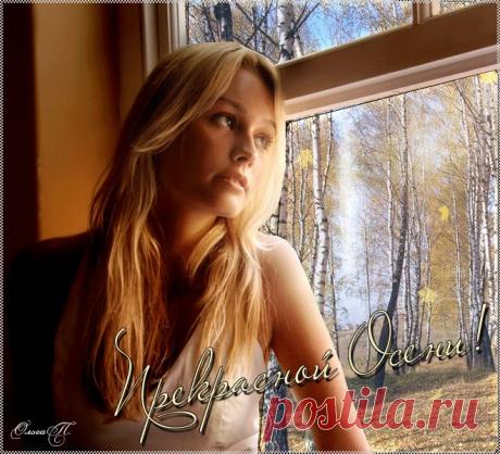 Яндекс.Фотки