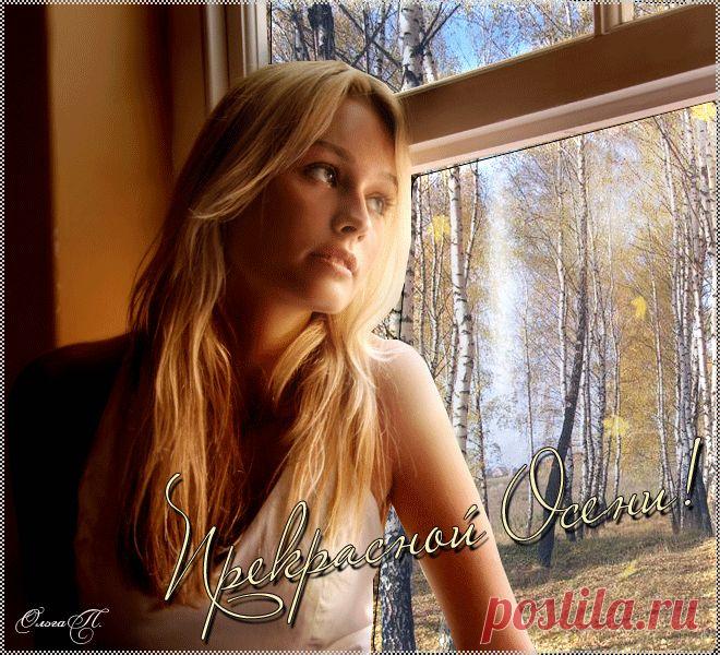 Яндекс.Фотки