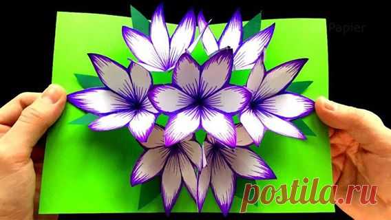 (9) Facebook