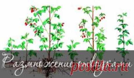 Как сделать подсветку клавиатуры ноутбука... и другие материалы. Новое в Вашей подборке на Постиле - frolova512@mail.ru - Почта Mail.Ru