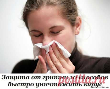 Защищаемся от гриппа: 10 способов быстро уничтожить вирус!