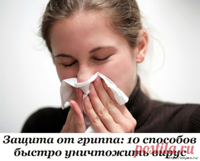 ЗДОРОВЬЕ | Записи в рубрике ЗДОРОВЬЕ | ИНТЕРЕСНЫЙ БЛОГ Лесяка.Ру
