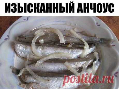 Изысканный анчоус — и потратим на это не более получаса.
Берем мойву…
Мойва, между прочим, морская рыба из семейства корюшковых, источник витаминов и минералов (витамина В12 в мойве в несколько раз больше, чем в говяжьей вырезке, навалом витамина А и D, плюс важнейшие аминокислоты — метионин, цистеин, треонин и лизин, а также: йод, фтор, бром, калий, натрий, фосфор, селен, которого в этой рыбе примерно в 10 раз больше, чем в любом мясе).
Захватывающе?
Берем мойву (килограм...