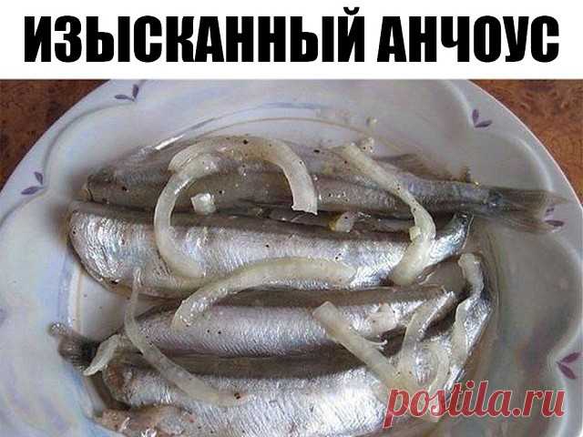 Изысканный анчоус — и потратим на это не более получаса.
Берем мойву…
Мойва, между прочим, морская рыба из семейства корюшковых, источник витаминов и минералов (витамина В12 в мойве в несколько раз больше, чем в говяжьей вырезке, навалом витамина А и D, плюс важнейшие аминокислоты — метионин, цистеин, треонин и лизин, а также: йод, фтор, бром, калий, натрий, фосфор, селен, которого в этой рыбе примерно в 10 раз больше, чем в любом мясе).
Захватывающе?
Берем мойву (килограм...