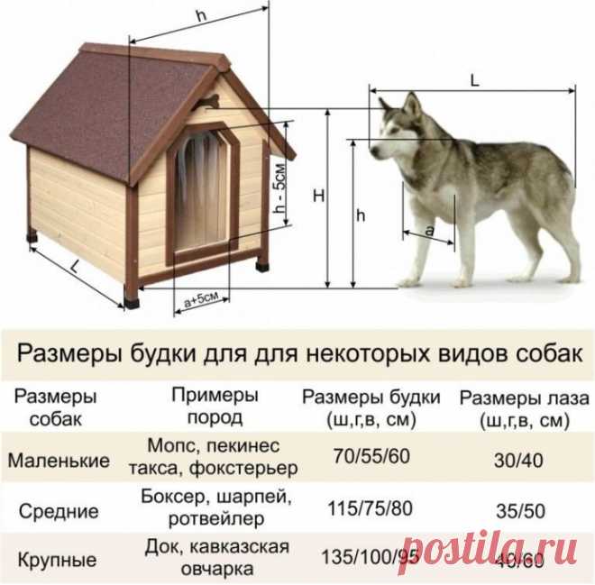 Размеры будок для разных пород собак
