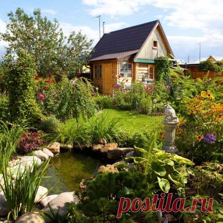 👨👩👧👦 Информационный портал для огородников и садоводов
🏠 Дачные хитрости 🔥 Полезные советы 🤩 Креативные идеи
💖 Доступно бесплатно для всех устройств: Windows, Android, IOS