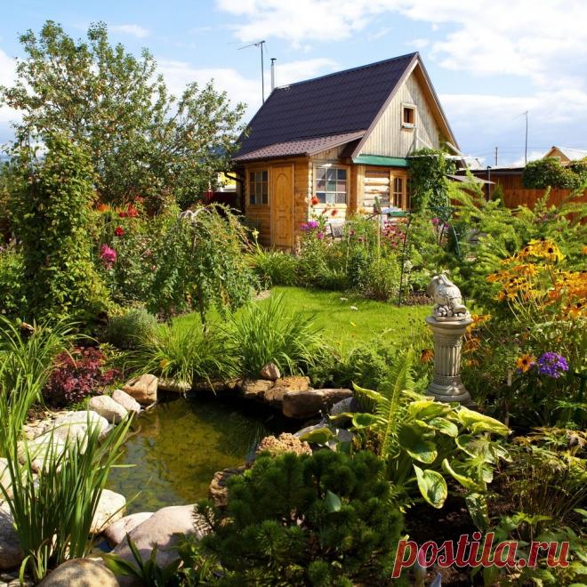 👨‍👩‍👧‍👦 Информационный портал для огородников и садоводов
🏠 Дачные хитрости 🔥 Полезные советы 🤩 Креативные идеи
💖 Доступно бесплатно для всех устройств: Windows, Android, IOS