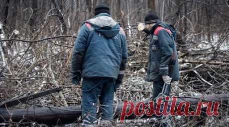 Минэнерго: более 187 тысяч человек в ЛНР и ДНР остаются без света из-за непогоды. Более 187 тыс. человек в Луганской и Донецкой народных республиках остаются без электроснабжения из-за неблагоприятных погодных условий. Читать далее