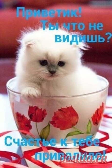 (4) Pinterest