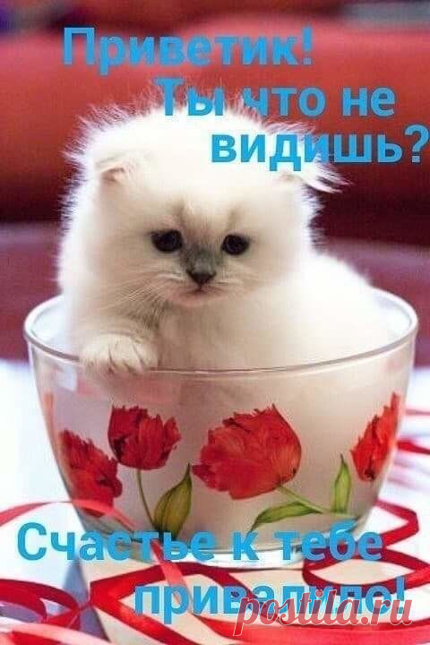 (4) Pinterest