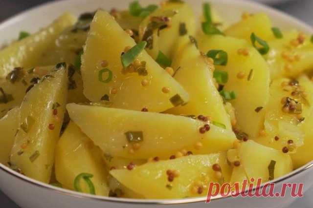 Картофельный салат с горчицей — Д а ч а