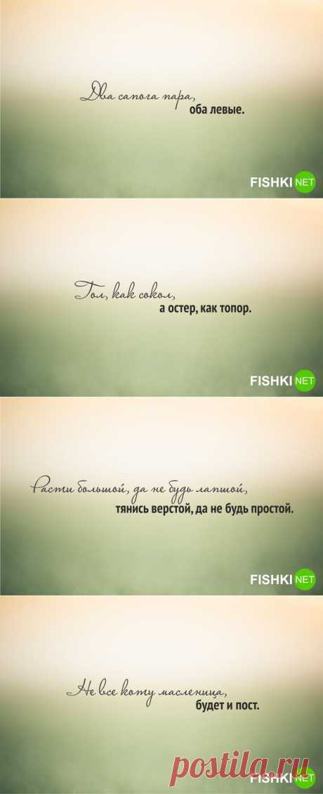 Пословицы и поговорки в полной версии
