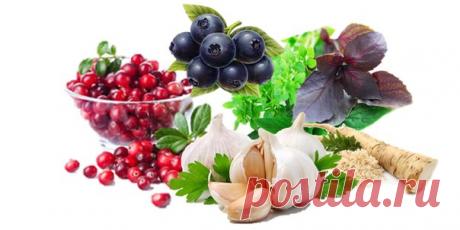 ПРИРОДНЫЕ АНТИБИОТИКИ