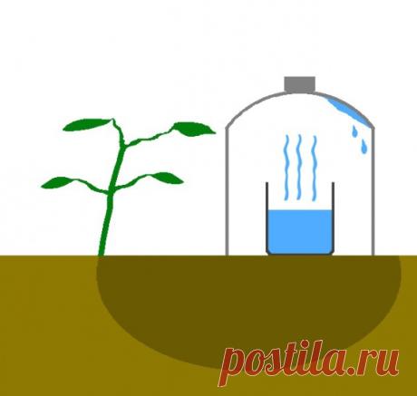 СИСТЕМА КАПЕЛЬНОГО ПОЛИВА СВОИМИ РУКАМИ