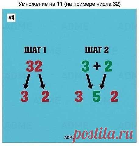 ТАКОМУ В ШКОЛЕ НАС НЕ УЧИЛИ. А ЖАЛЬ!