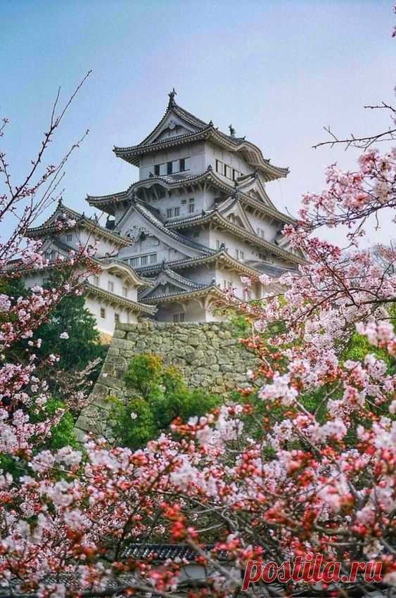 Beautiful World
замок белой цапли в японии