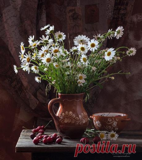 ♥ღ♥Белые ромашки! Как вас не любить!♥ღ♥.
