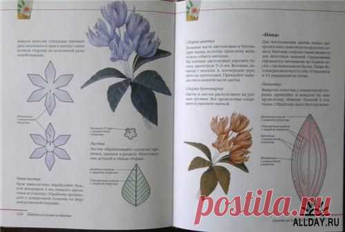 Цветы из ткани , подборка книг » ALLDAY - народный сайт о дизайне