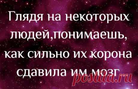 Если вам ответили молчанием, это еще не значит, что вам не ответили.
Сократ