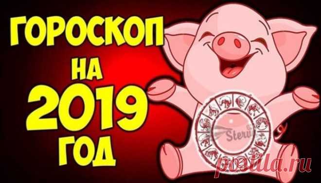 Точный гороскоп на 2019 год свиньи для каждого знака Зодиака | Чаровница и проказница