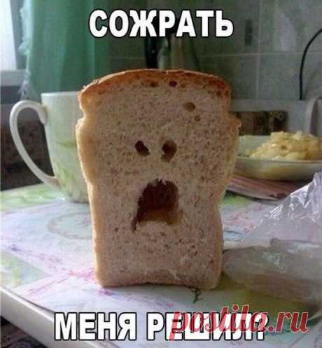 Прикольные морды вокруг нас / Писец - приколы интернета