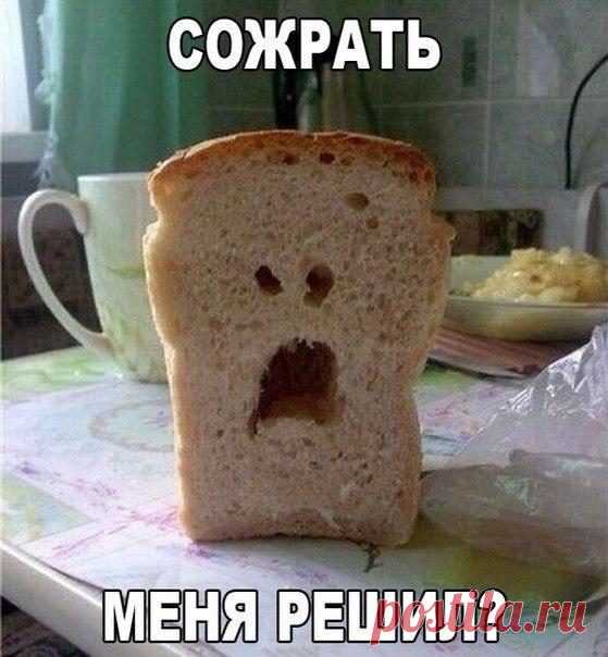 Прикольные морды вокруг нас / Писец - приколы интернета