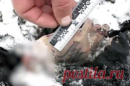 Украинская разведка попросила Россию передать тела погибших в Ил-76 пленных. Москва запросов из Киева не получала. Украина попросила Россию передать тела военнопленных, погибших в результате крушения российского самолета Ил-76 под Белгородом, заявил представитель ГУР Андрей Юсов. При этом, по его словам, российская сторона пока не отреагировала на просьбы. Москва официально не подтверждала получения таких обращений.