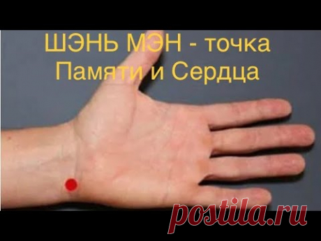 Память, мозг и сердце. Удивительная точка помощи (Шэнь Мэн)