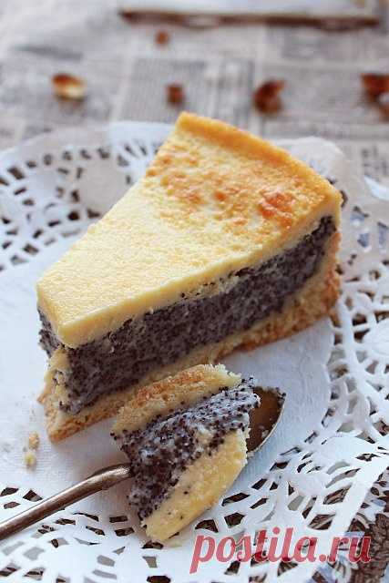 Маковый сметанник - My lovely cake — LiveJournal