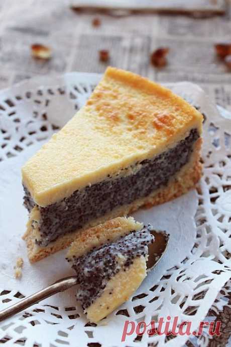 Маковый сметанник - My lovely cake — LiveJournal