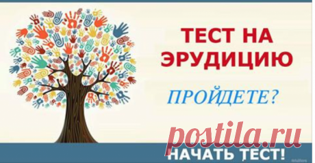 Ответьте на 11 вопросов - и узнаете, в каких науках вы сильны!