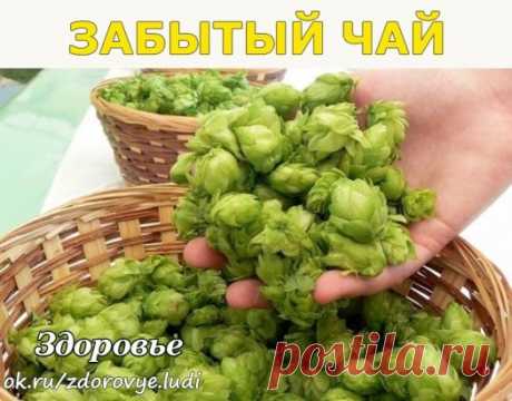 (48) Одноклассники