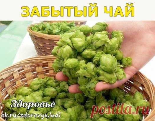 (48) Одноклассники