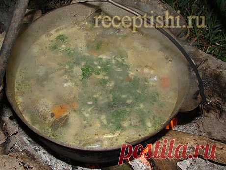 Уха «Черная» из карася