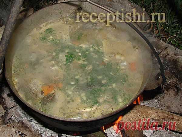 Уха «Черная» из карася
