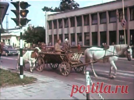 Filmas apie Alytų sovietmečiu || 400 METŲ jaunuolis (1981)