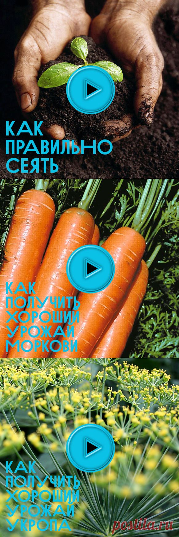 50 видеосоветов для огородника