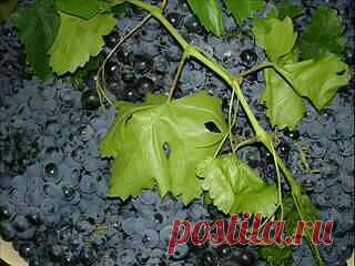 город ХУДЖАНД ленинабад ПРИСОЕДИНЯЙСЯ
30 лет, Таджикистан, Худжанд