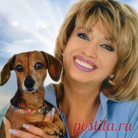 Если кто-то вас просит о помощи животным, помогите! Ведь многие наши братья меньшие лучше некоторых людей.