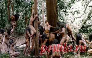 окно Овертона