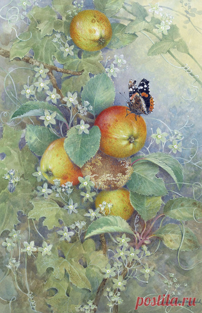 Английский художник Gordon Beningfield