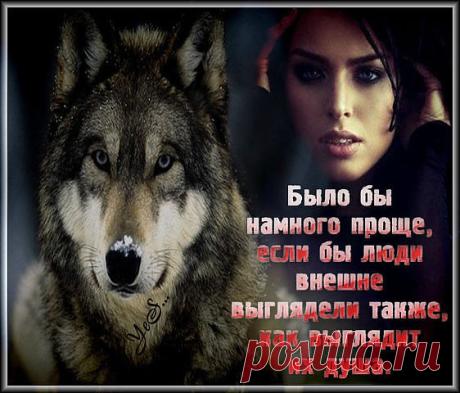 «*** НАДО ЖИТЬ !!! ***»