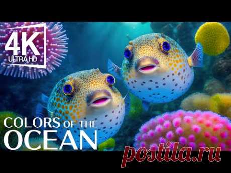 Потрясающие 4K подводные чудеса - расслабляющая музыка для снятия стресса - успокаивающая атмосфе...