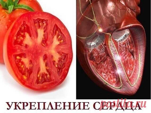 Укрепление сердца при одышке

Этот рецепт может помочь многим сердечникам у кого драгоценное сердечко подработалось и, требующее обязательного ухода за ним.

Часто можно заметить, когда пожилые люди, поднимаясь на верхние этажи безлифтовых зданий, испытывают, мягко говоря, некоторые неудобства, связанные с нехваткой воздуха, т.е. одышки.

Что же советует народная медицина для укрепления сердца?

Академик Болотов рекомендует за час до парилки или финской бани съедать 50-100...