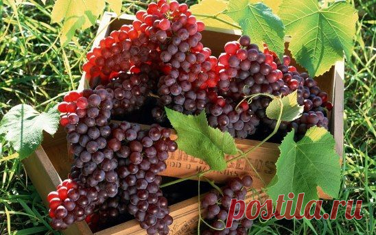 Одноклассники